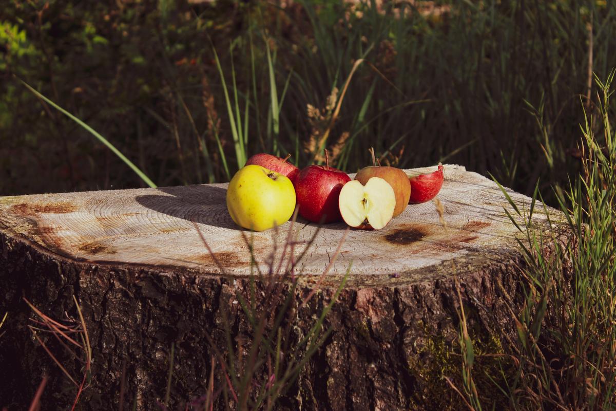 Herbst Apfel bio ökologisch züchtung apfelpunsch vegan apfelsaft (1)