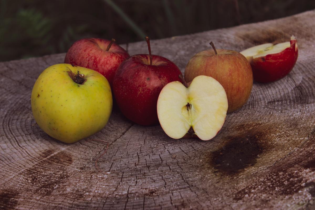 Herbst Apfel bio ökologisch züchtung apfelpunsch vegan apfelsaft (2)