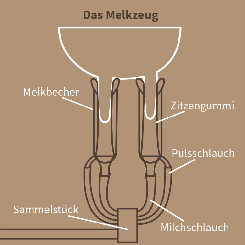 Grafik vom Aufbau des Melkzeugs